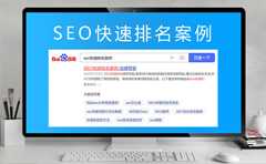 SEO快速排名案例