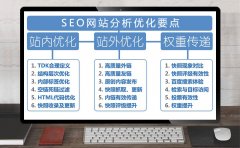 SEO网站分析案例