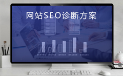 SEO诊断方案