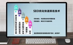 SEO排名技术,SEO优化快速排名技术