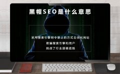 SEO黑帽是什么,什么叫SEO黑帽技术