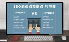 SEO的优点和缺点,SEO的利弊