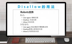 Disallow是什么意思？disallow用法